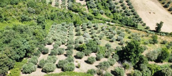 Terrain à Fiano Romano, Italy 25m² No. 2067 49