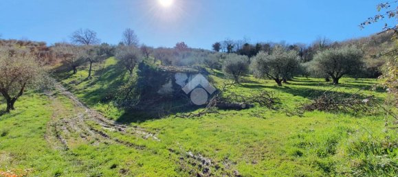 Terrain à Fiano Romano, Italy 25m² No. 2067 14