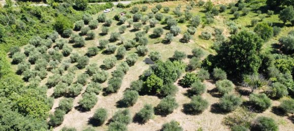 Terrain à Fiano Romano, Italy 25m² No. 2067 23