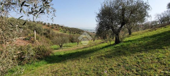 Terrain à Fiano Romano, Italy 25m² No. 2067 60