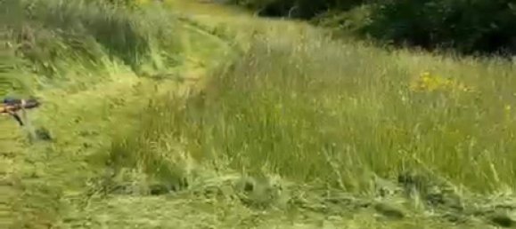 Terrain à Rastatt, Germany No. 218762 3