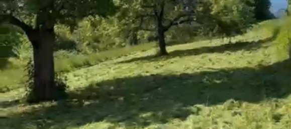 Terrain à Rastatt, Germany No. 218762 2