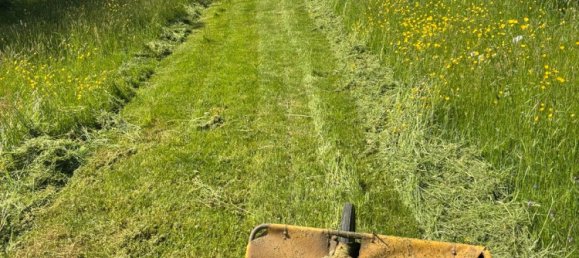 Terrain à Rastatt, Germany No. 218762 4