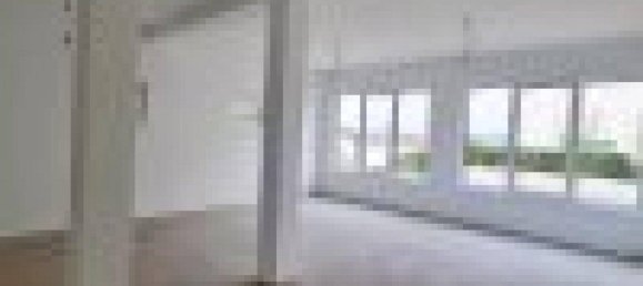 Escritório de 7 divisões em Alkoven, Austria N.º 237360 22