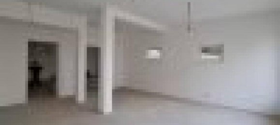 Escritório de 7 divisões em Alkoven, Austria N.º 237360 24