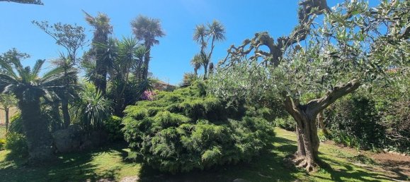 6غرفة فيلا في Ladispoli, Italy رقم 72607 23