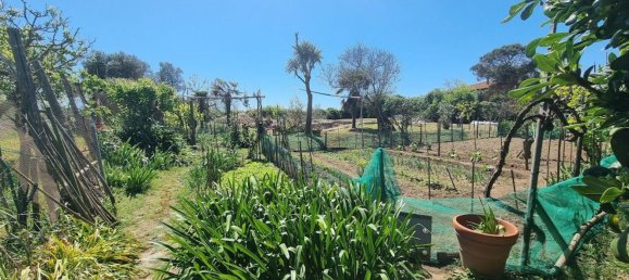 6غرفة فيلا في Ladispoli, Italy رقم 72607 25