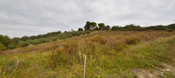 4940m² Land in Montesilvano, Italy No. 136437 4
