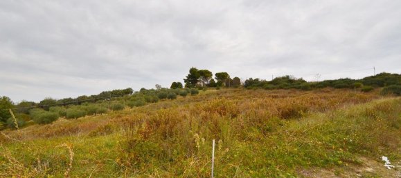 4940m² Land in Montesilvano, Italy No. 136437 6