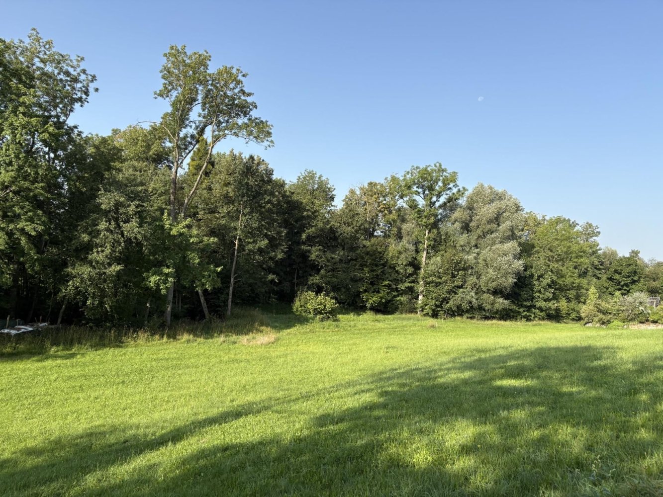  قطعة أرض في Hohenzell, Austria رقم 104920