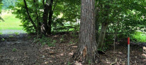 2313m² Land in Kohfidisch, Austria No. 164779 4