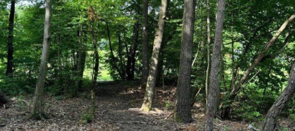 2313m² Land in Kohfidisch, Austria No. 164779 3