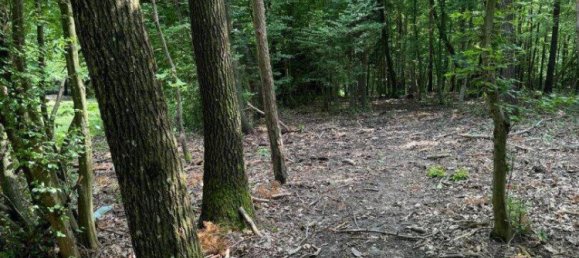 2313m² Land in Kohfidisch, Austria No. 164779 9