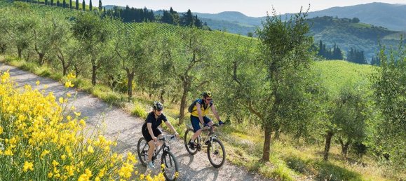 12 rooms Villa in Castiglion Fiorentino, Italy No. 57208 28