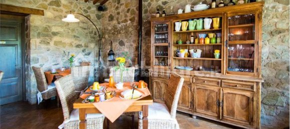 10 غرف نوم فيلا في Manciano, Italy رقم 123492 29