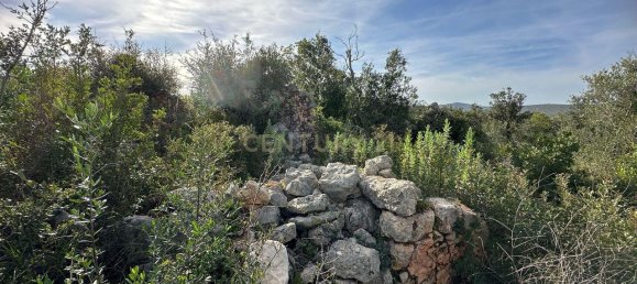 21960m² Land in Loule, Portugal No. 76170 2