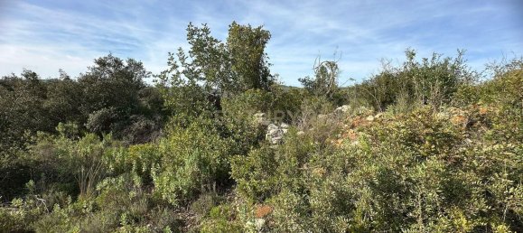 21960m² Land in Loule, Portugal No. 76170 8