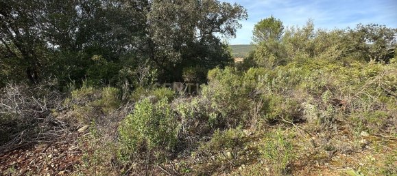21960m² Land in Loule, Portugal No. 76170 5