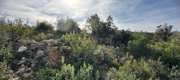 21960m² Land in Loule, Portugal No. 76170 4