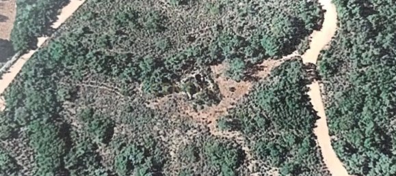 21960m² Land in Loule, Portugal No. 76170 11