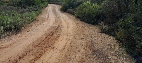 21960m² Land in Loule, Portugal No. 76170 3