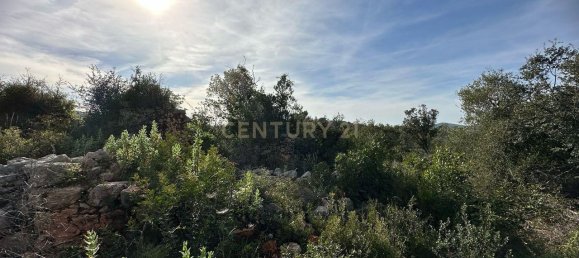 21960m² Land in Loule, Portugal No. 76170 7