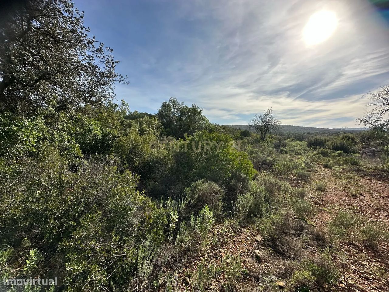 21960m² Land in Loule, Portugal No. 76170