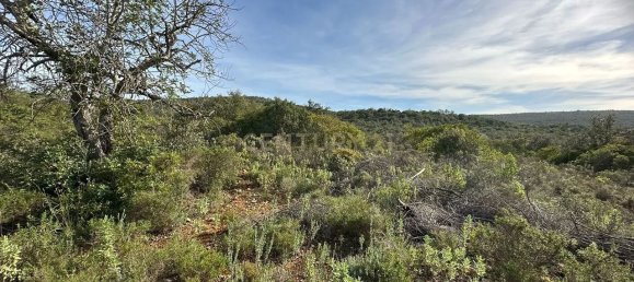 21960m² Land in Loule, Portugal No. 76170 10