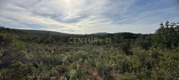 21960m² Land in Loule, Portugal No. 76170 9