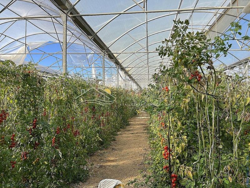  قطعة أرض في Algarrobo, Spain 6000متر مربع رقم 225420