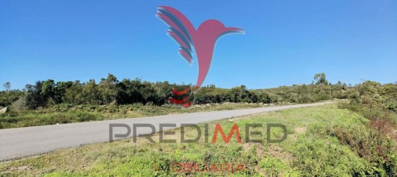 Земельный участок 52600м² в Сантарен, Португалия № 63873 11