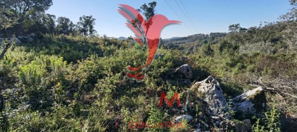 Земельный участок 52600м² в Сантарен, Португалия № 63873 20