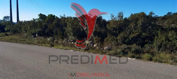 Земельный участок 52600м² в Сантарен, Португалия № 63873 13