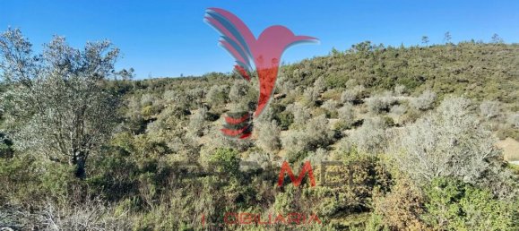 Земельный участок 52600м² в Сантарен, Португалия № 63873 18