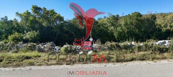 Земельный участок 52600м² в Сантарен, Португалия № 63873 2