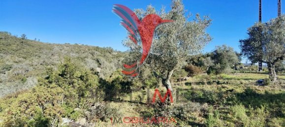 Земельный участок 52600м² в Сантарен, Португалия № 63873 19