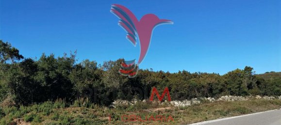 Земельный участок 52600м² в Сантарен, Португалия № 63873 12