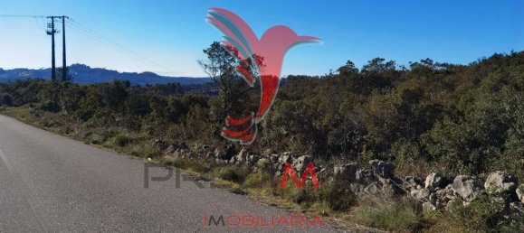 Земельный участок 52600м² в Сантарен, Португалия № 63873 5