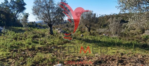 Земельный участок 52600м² в Сантарен, Португалия № 63873 16