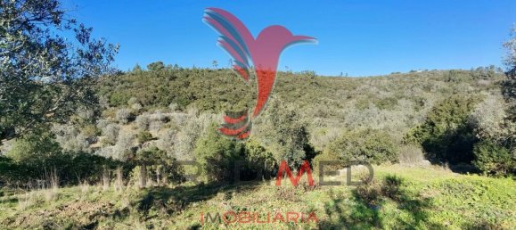 Земельный участок 52600м² в Сантарен, Португалия № 63873 17