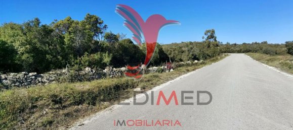 Земельный участок 52600м² в Сантарен, Португалия № 63873 6