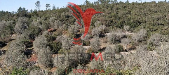 Земельный участок 52600м² в Сантарен, Португалия № 63873 14