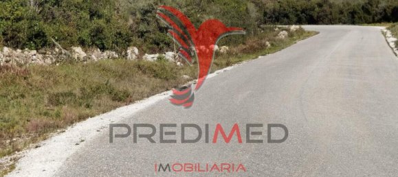 Земельный участок 52600м² в Сантарен, Португалия № 63873 10