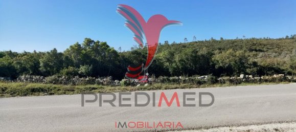 Земельный участок 52600м² в Сантарен, Португалия № 63873 3