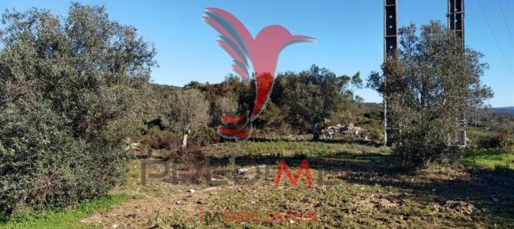 Земельный участок 52600м² в Сантарен, Португалия № 63873 15