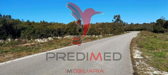 Земельный участок 52600м² в Сантарен, Португалия № 63873 8