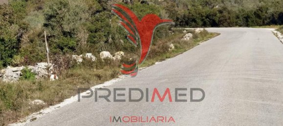 Земельный участок 52600м² в Сантарен, Португалия № 63873 7