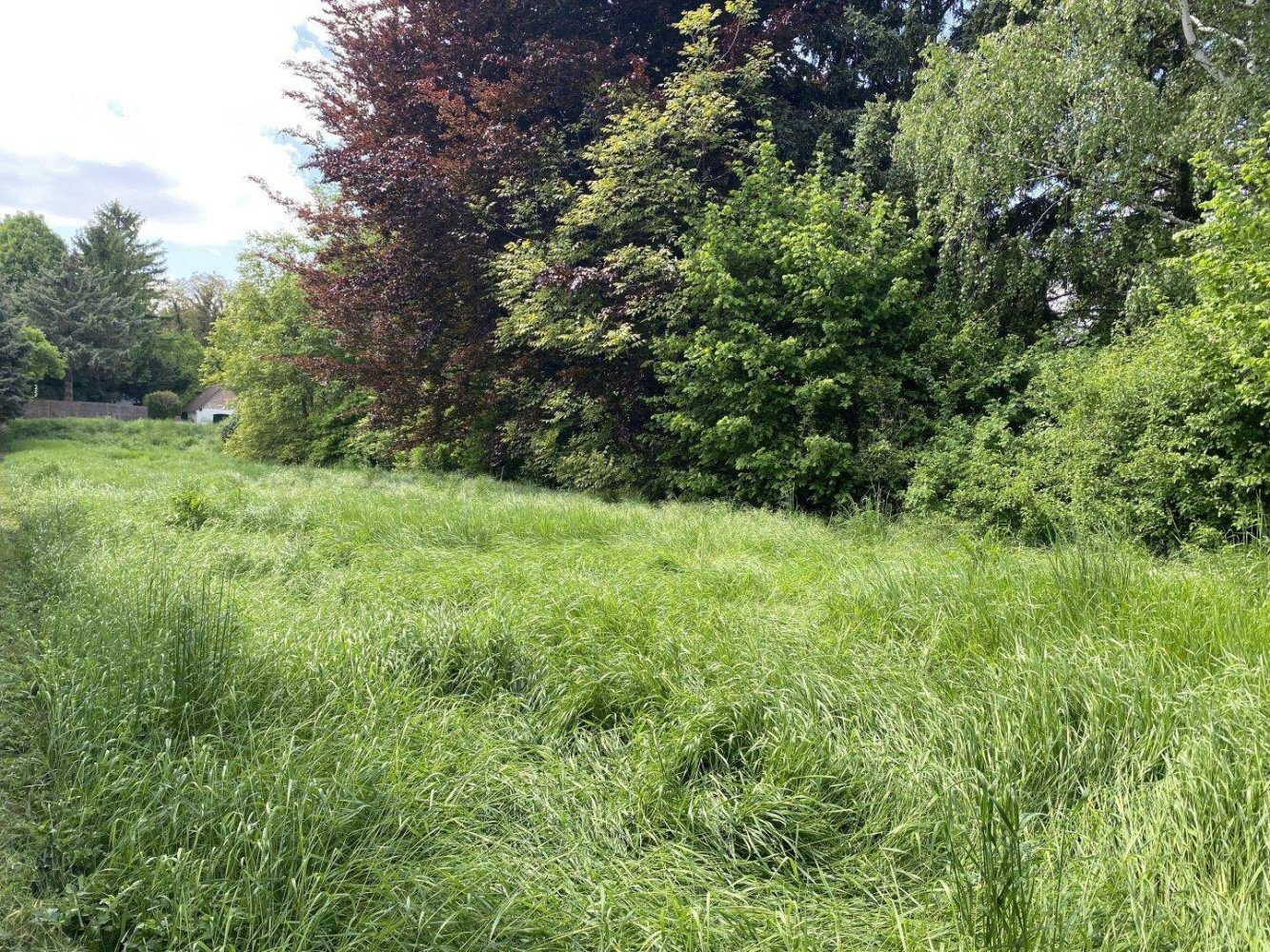 900m² Land in Gollersdorf, Austria No. 162312