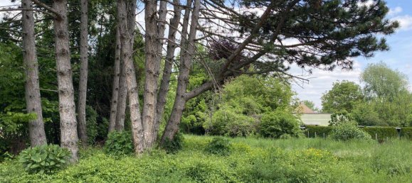 900m² Land in Gollersdorf, Austria No. 162312 3