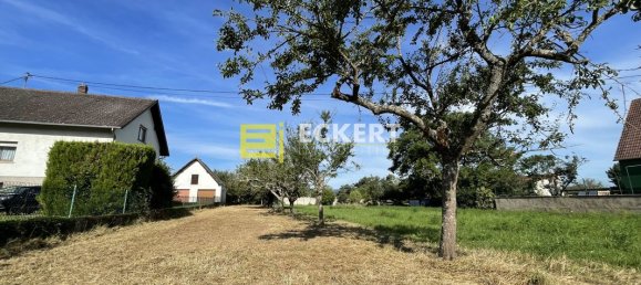 Grundstück in Gresswiller, France 704m², Nr. 248851 3